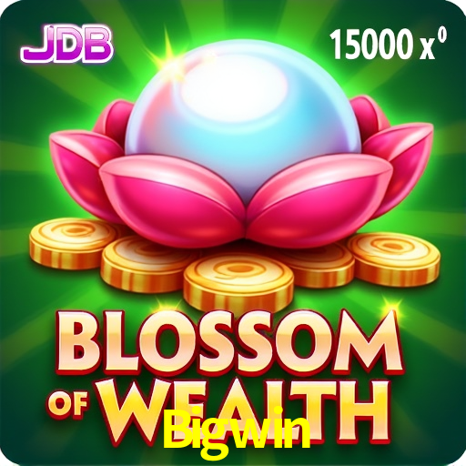 A Experiência Imersiva dos Cassinos Ao Vivo no Bigwin