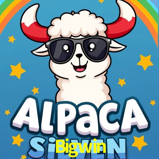 A Experiência Imersiva dos Cassinos Ao Vivo no Bigwin